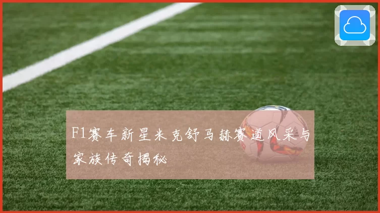 F1赛车新星米克舒马赫赛道风采与家族传奇揭秘