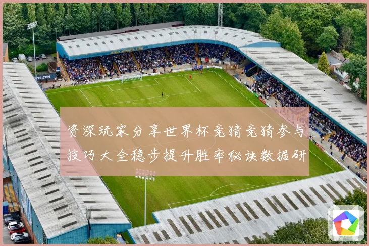 资深玩家分享世界杯竞猜竞猜参与技巧大全稳步提升胜率秘诀数据研判