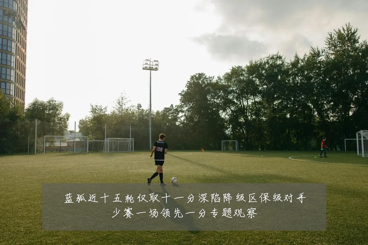 蓝狐近十五轮仅取十一分深陷降级区保级对手少赛一场领先一分专题观察
