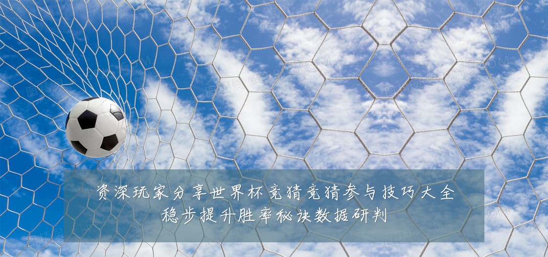 资深玩家分享世界杯竞猜竞猜参与技巧大全稳步提升胜率秘诀数据研判